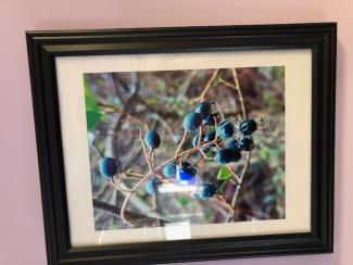 Art at Scottsville