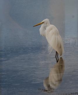 Charlottesville Camera Club 2025