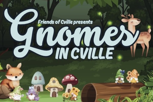 Gnomes in Cville